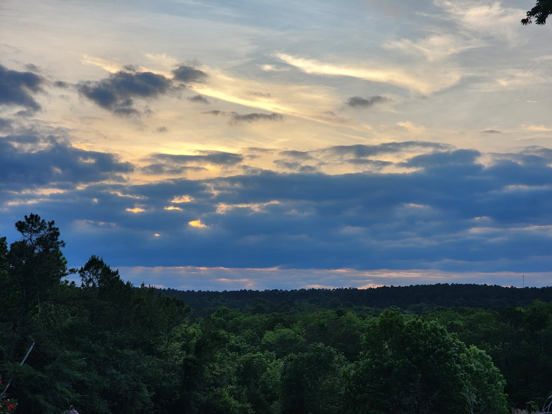 Golden-hour sky over East Texas pine trees